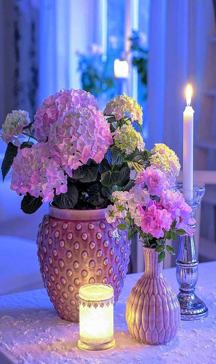 Уютного летнего вечера