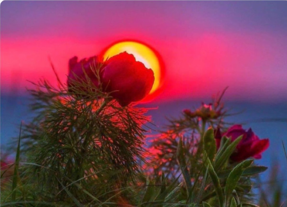 Доброго зимннговечера