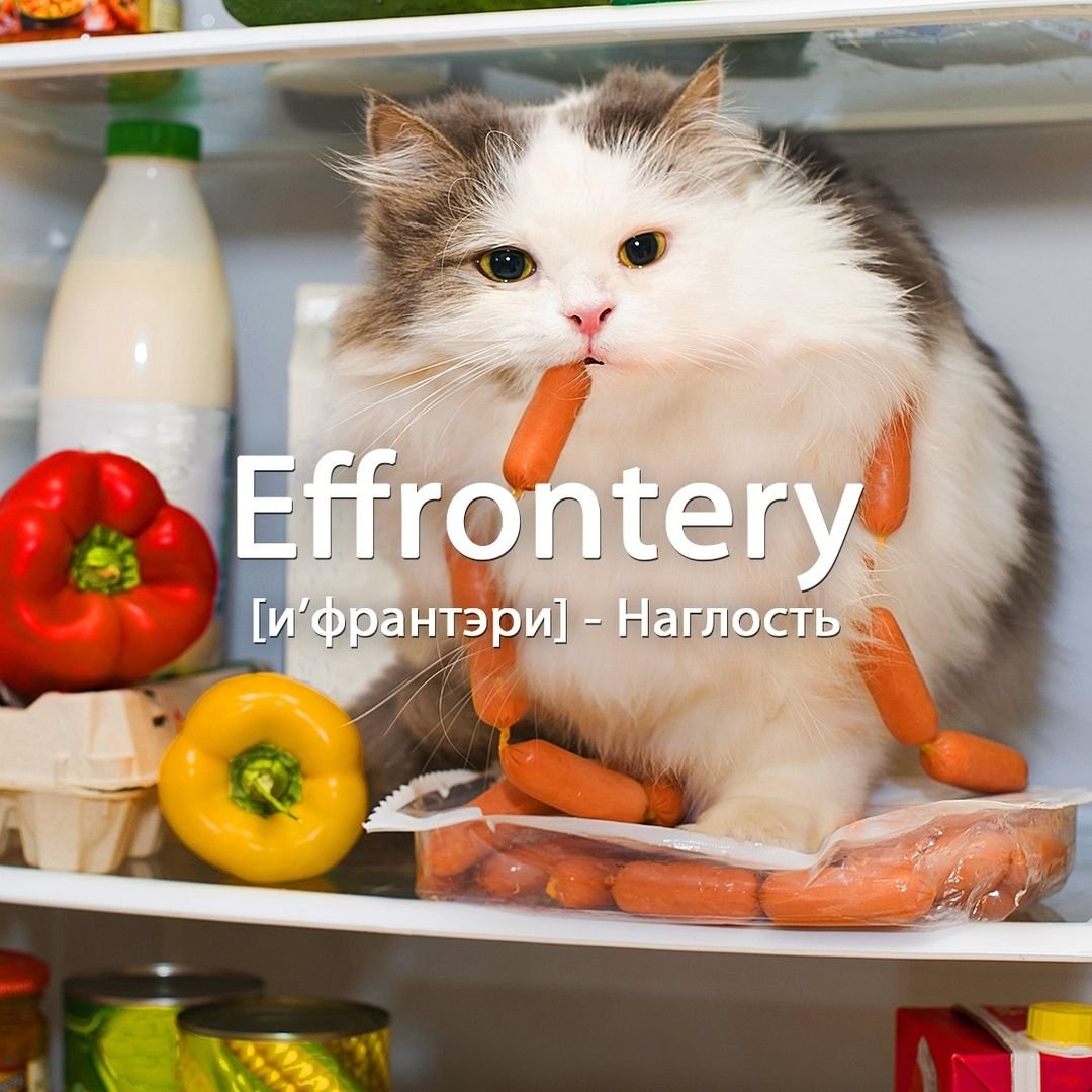 Приколы про еду