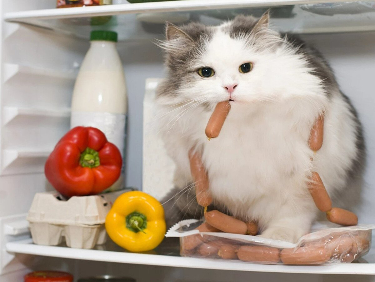 Приятного аппетита картинки с юмором