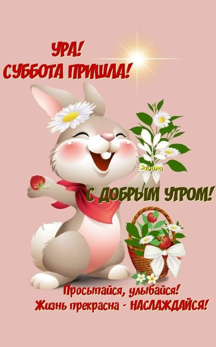 Доброе утро Елена Анатольевна