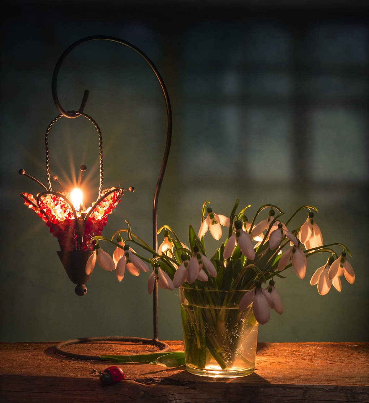 Вечерний чай цветы