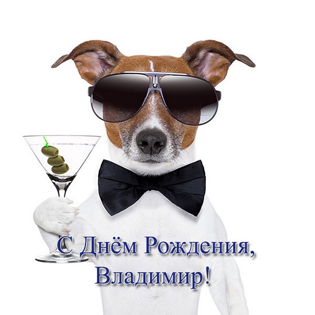 Поздравления с днём рождения Василию