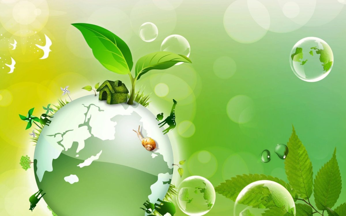 Экология фон