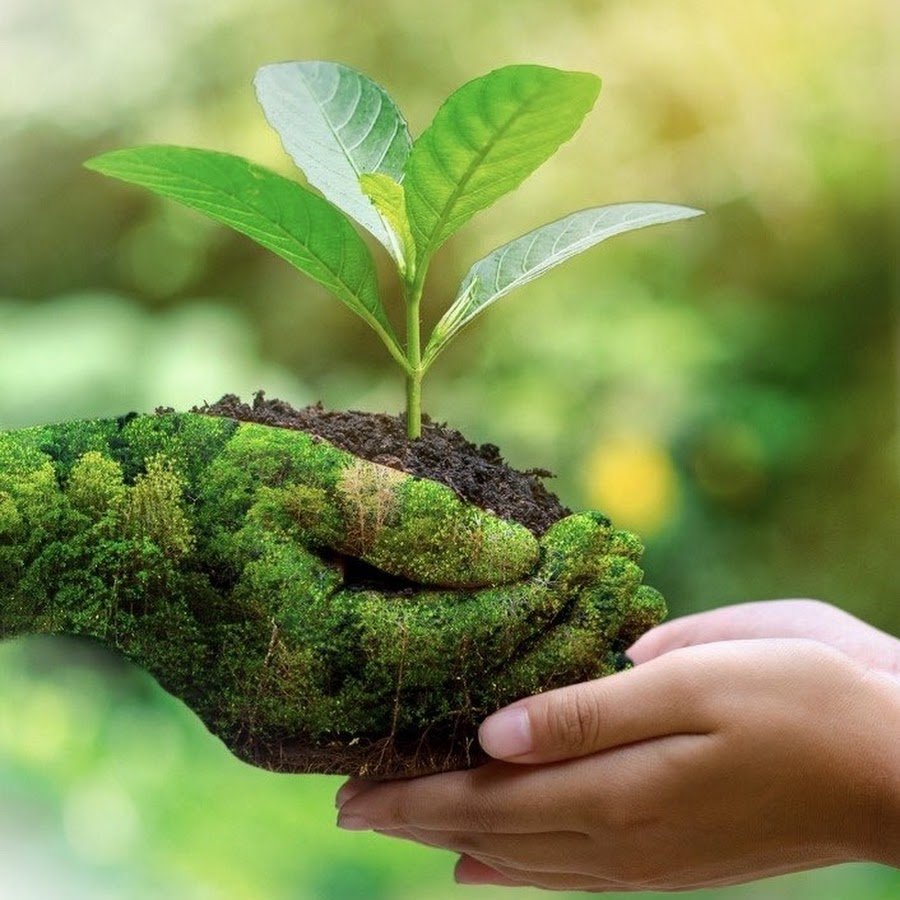 Эмблема экологии