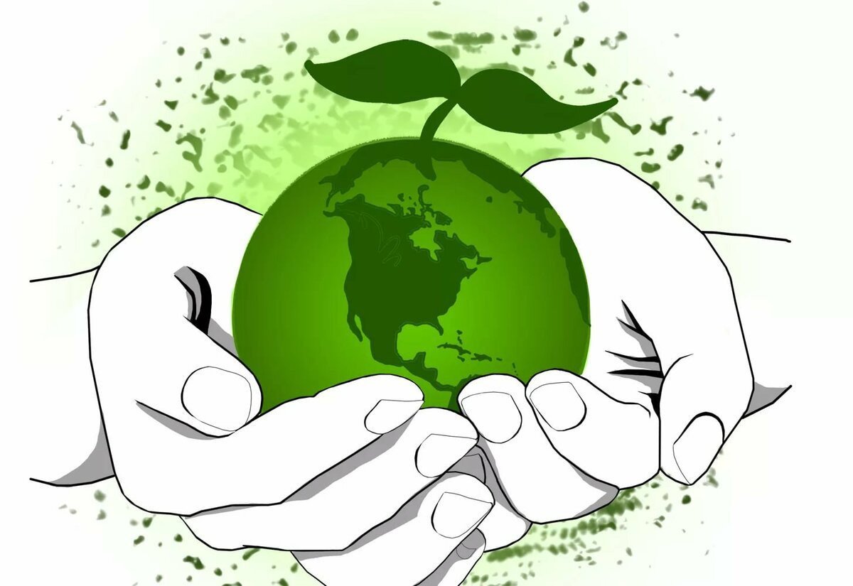 Экология и окружающая среда