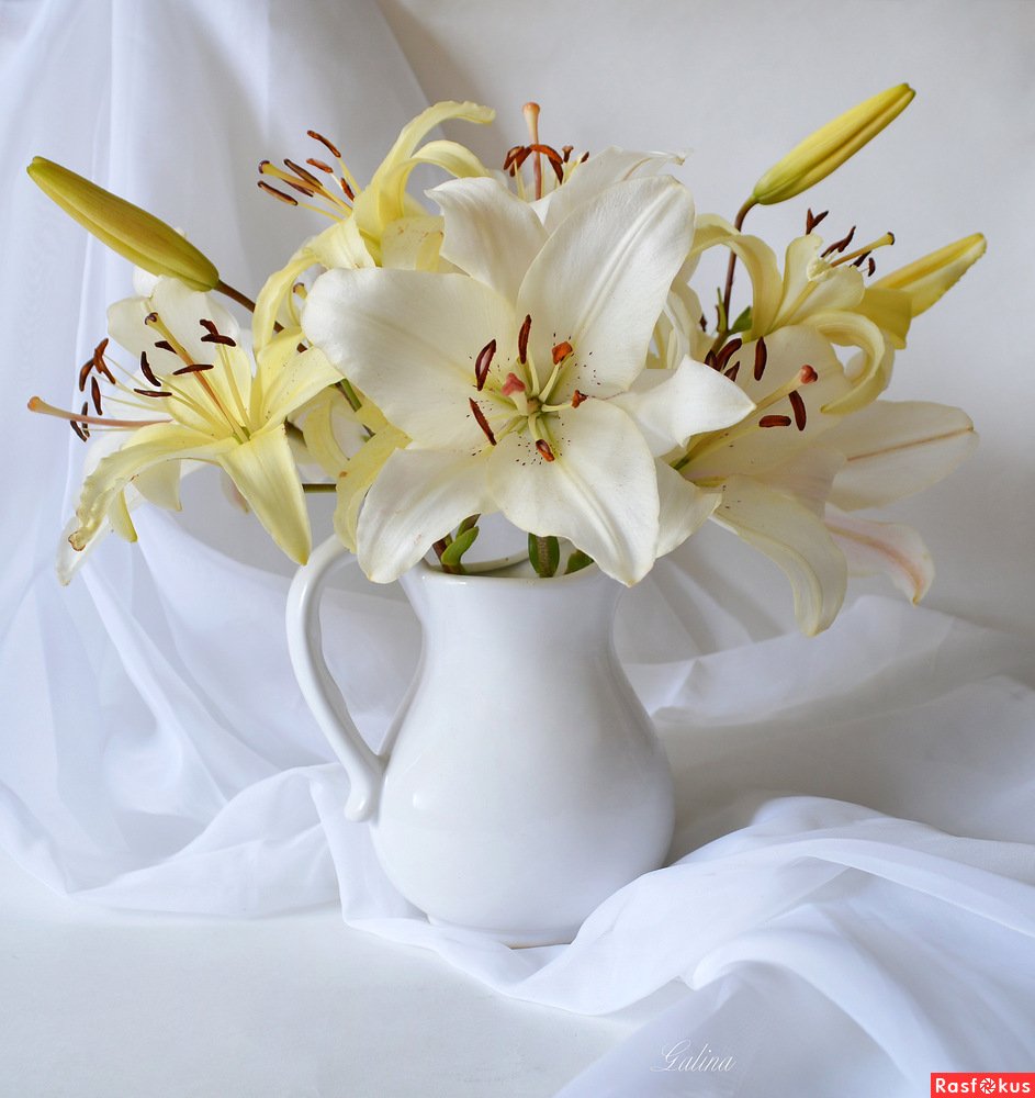 Букет лилий "счастливый Союз"