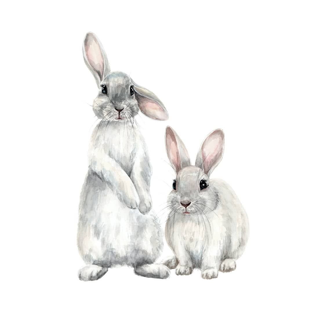Милые кролики для срисовки