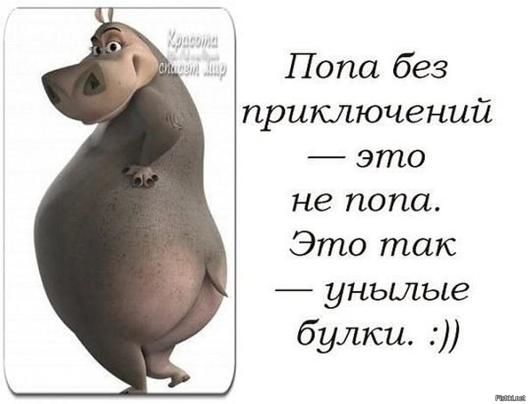 Цитаты про приключения на попу