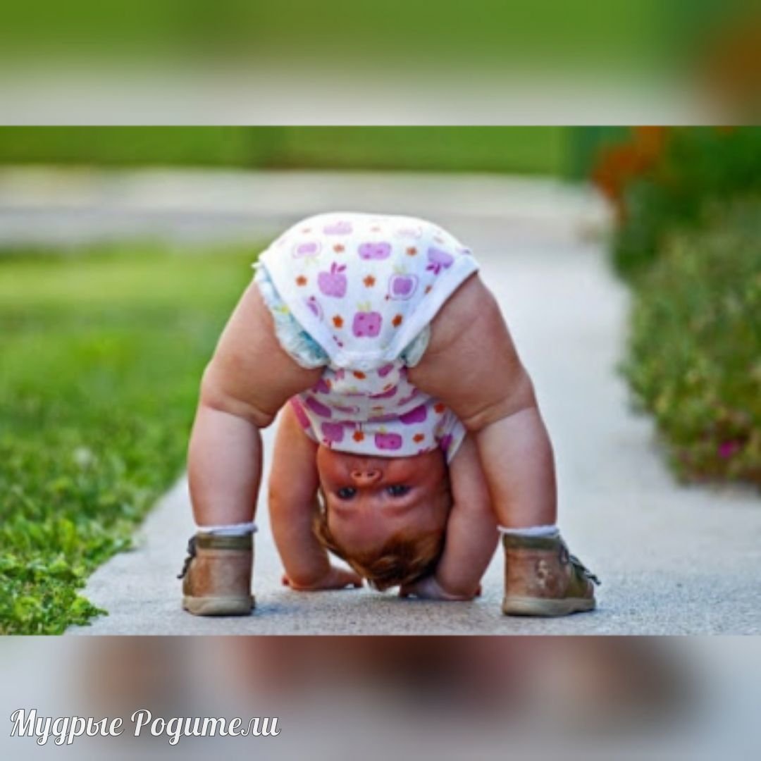 Шутки про попу