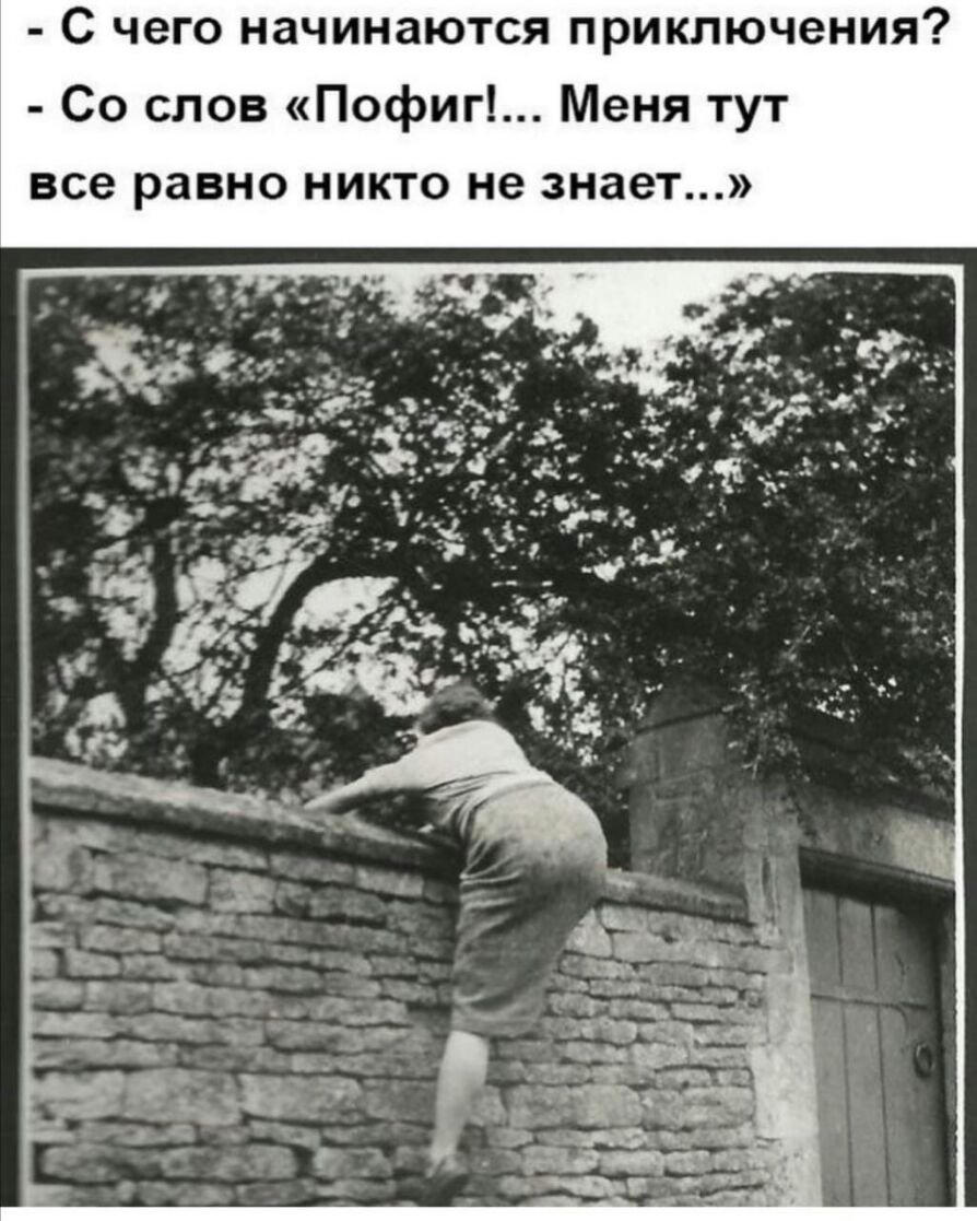 Приключения Винни пуха 1977