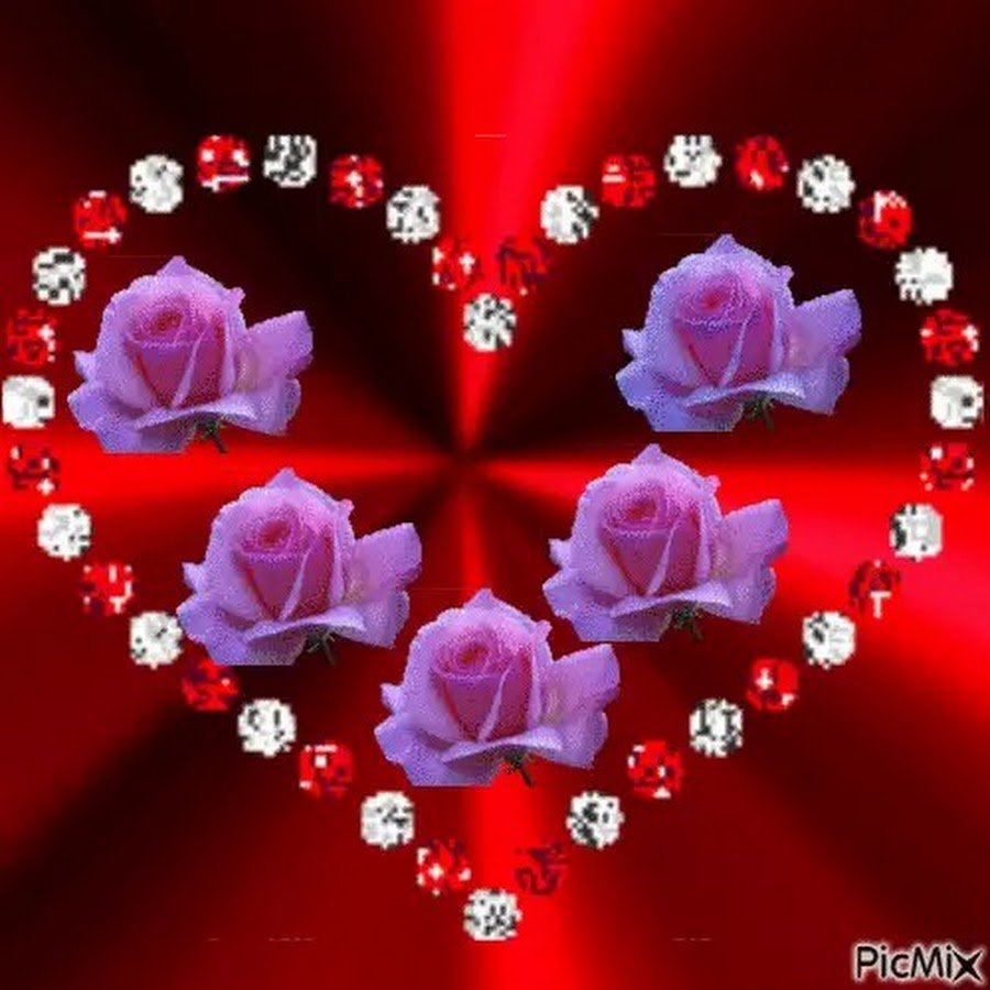 Сердце из звезд