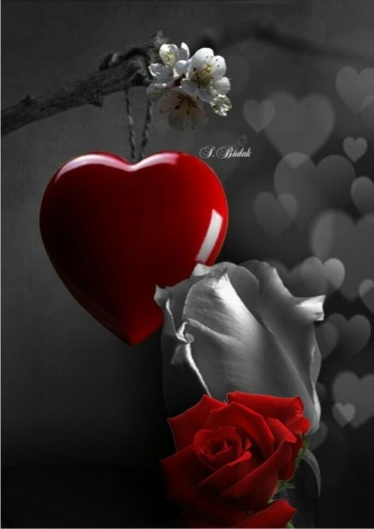 Спокойной ночи сердце