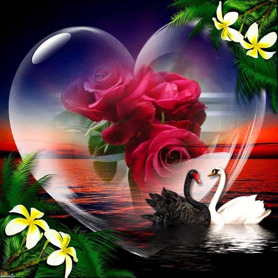 Красивых снов