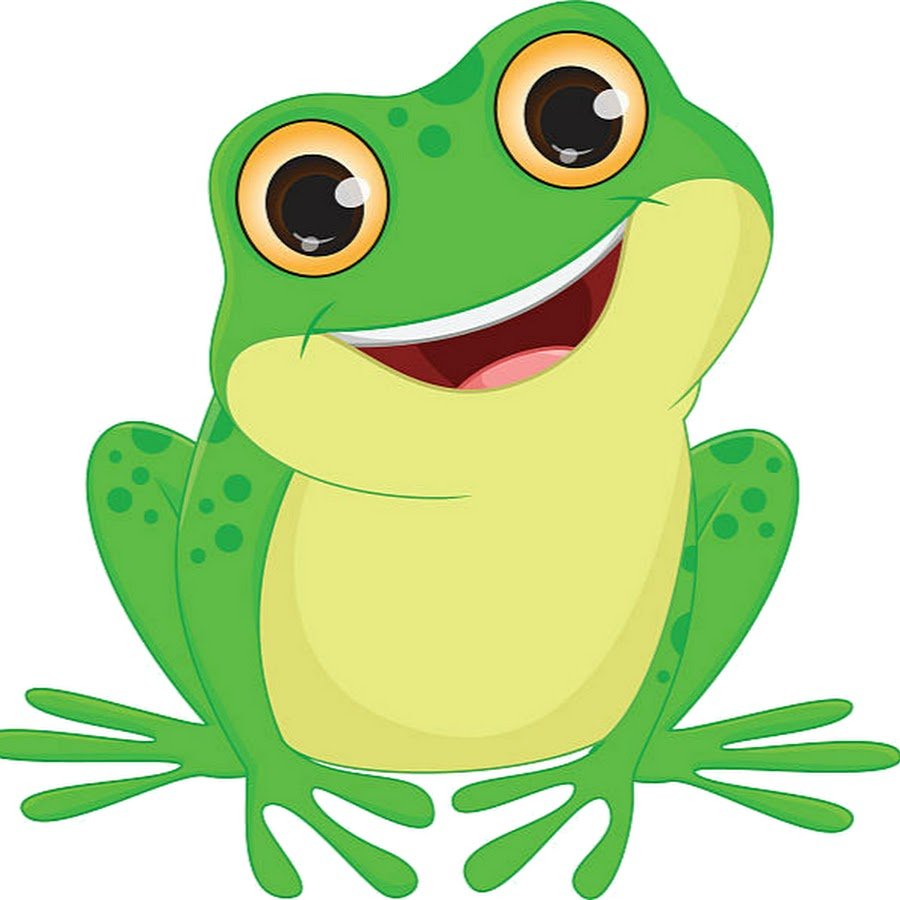 Милые лягушки на белом фоне