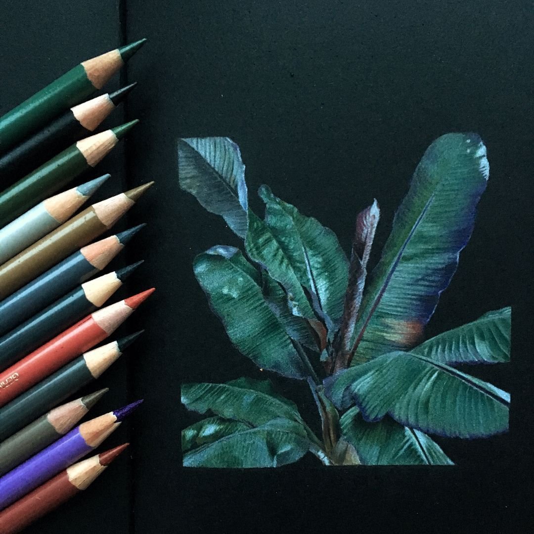 Рисование простым карандашом