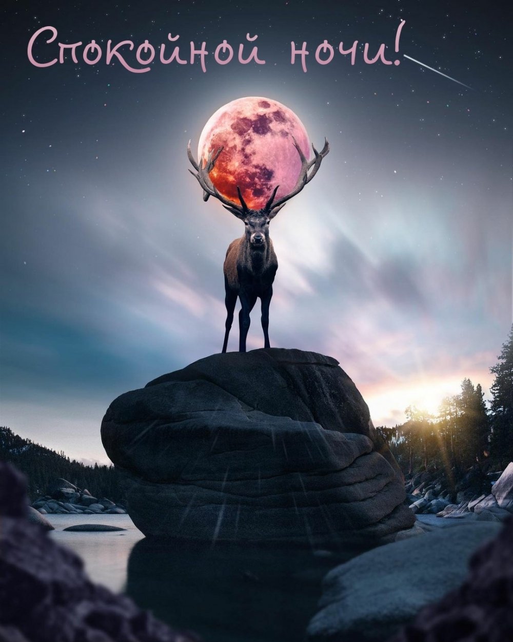 Доброй ночи