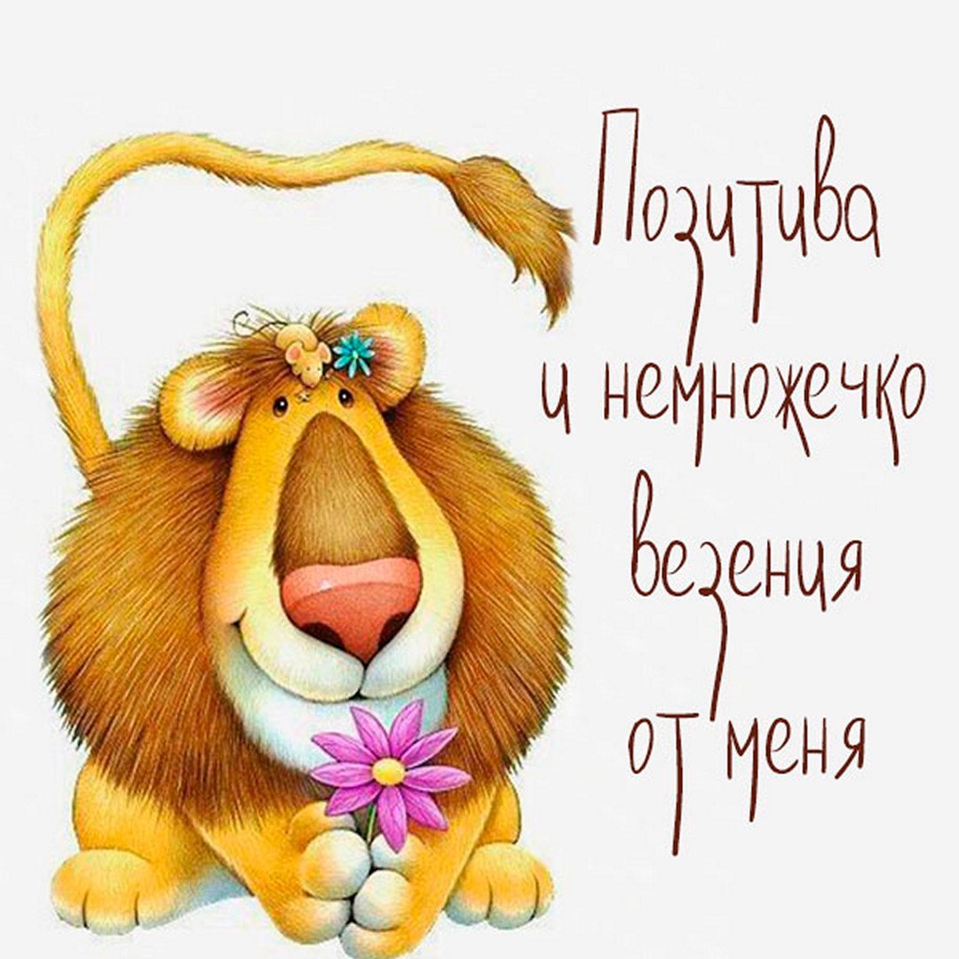 Открытка "извини"