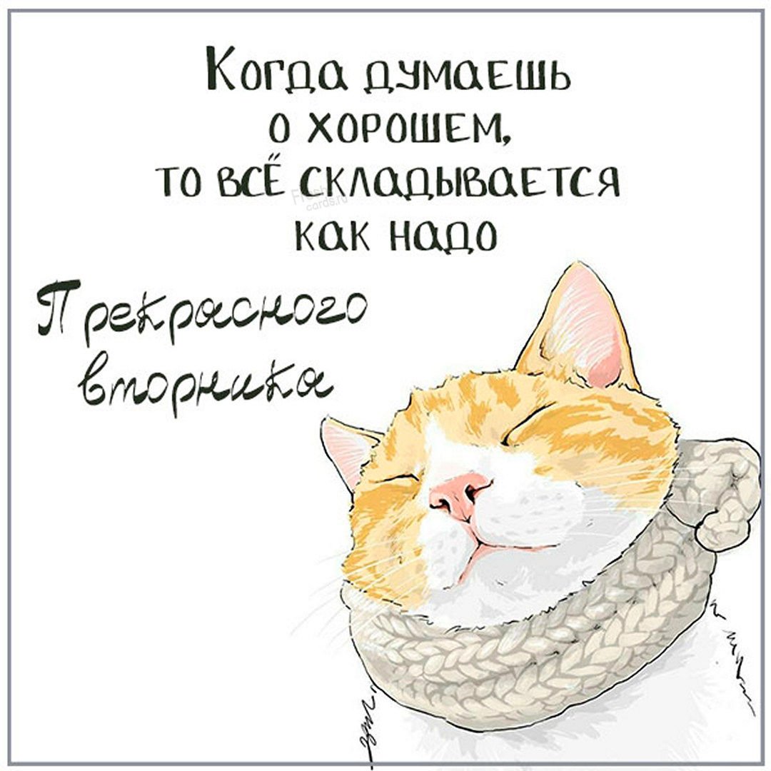 Здравствуй вторник прикольные