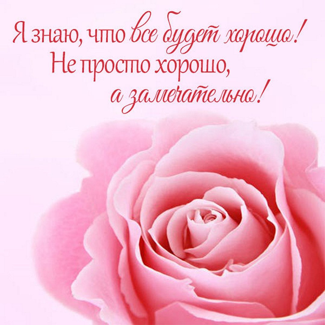 Выздоравливай скорей