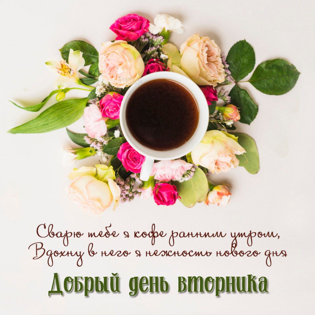 Доброе утро вторника