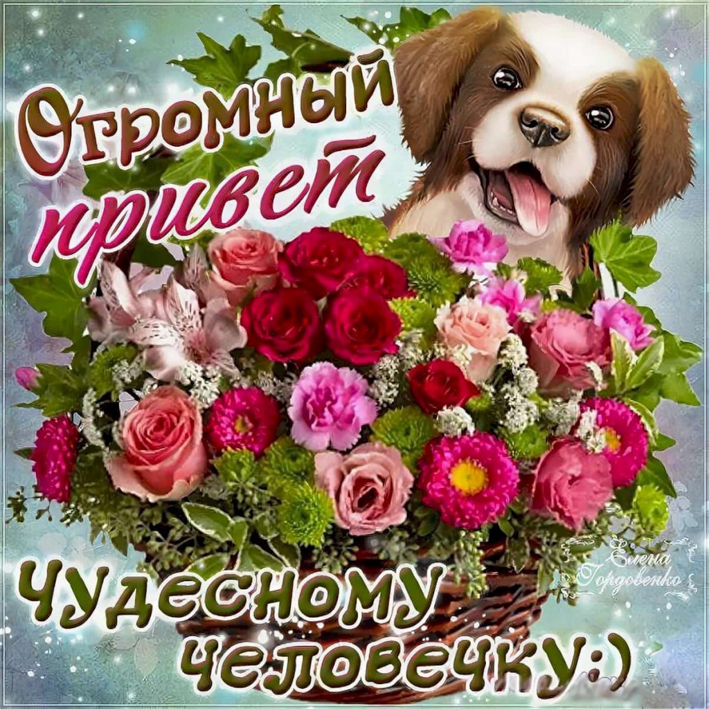 Приветик картинки