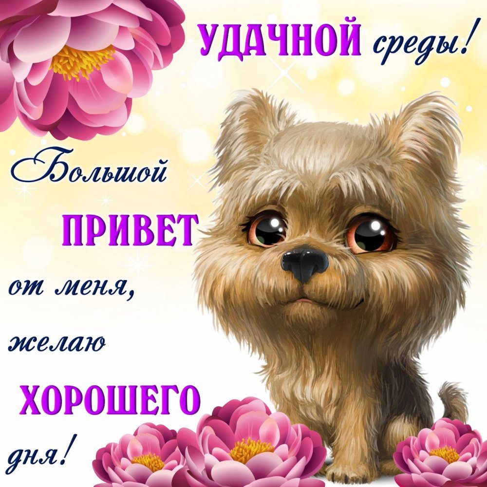 Анимированные открытки приветик