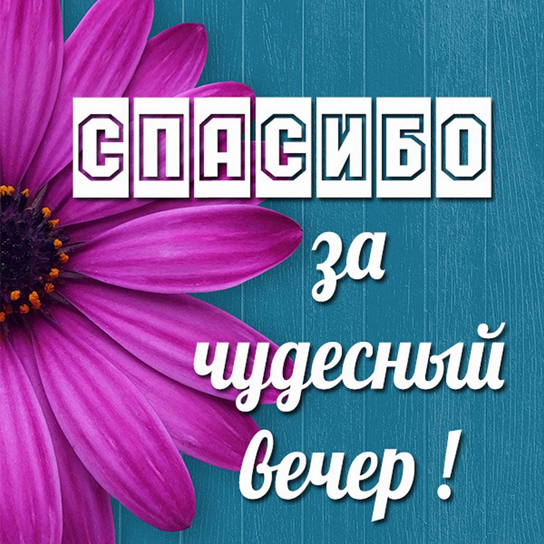 Спасибо за вечер