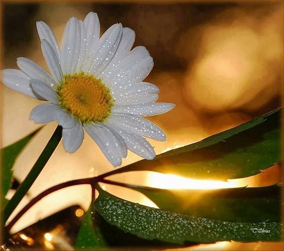 Спасибо за поздравления