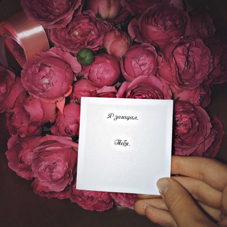 Уютный вечер с ноутбуком