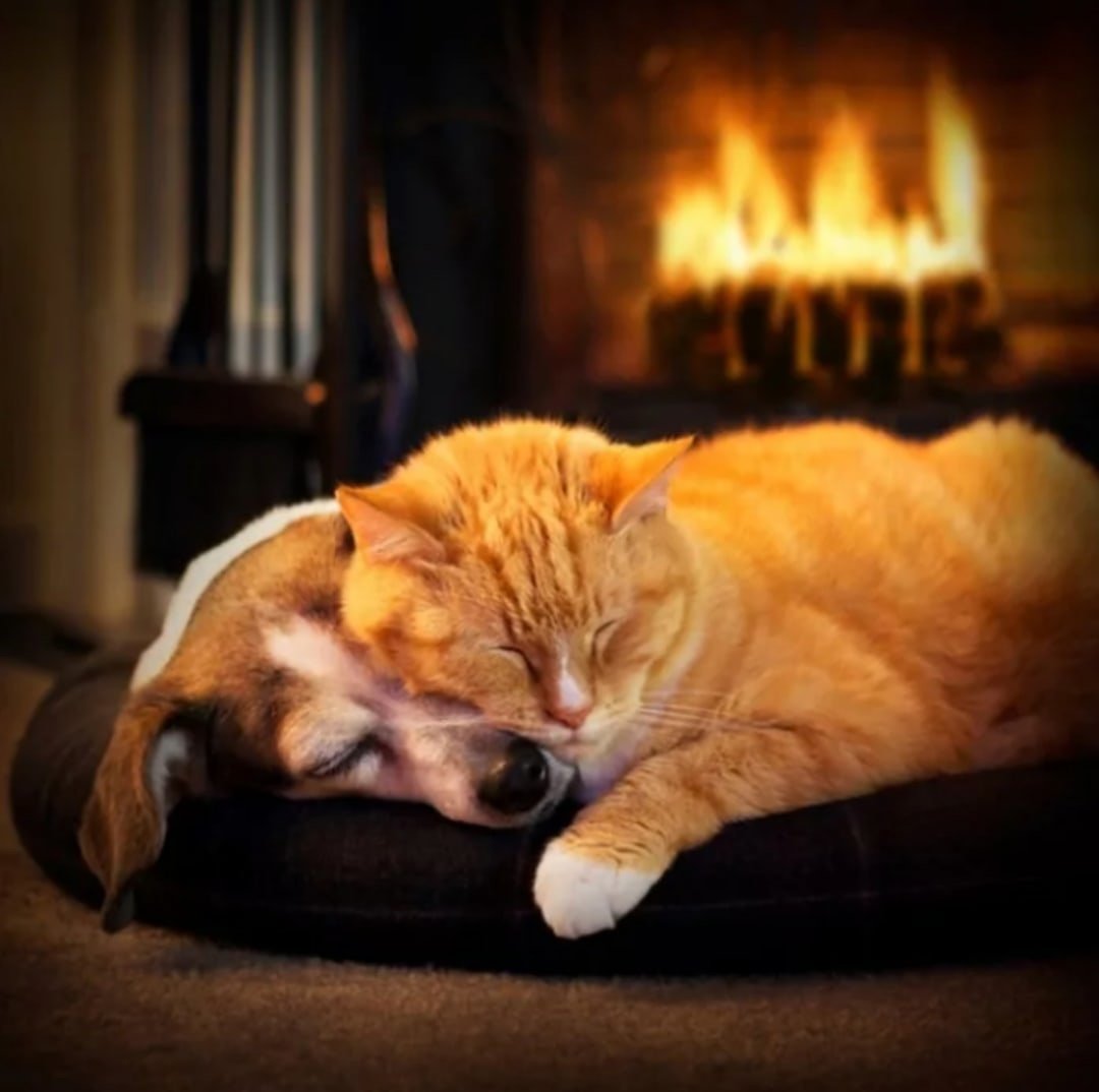 Добрый вечер