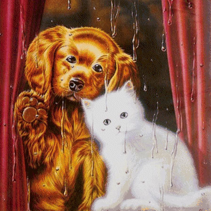 Хорошего вечера котенок