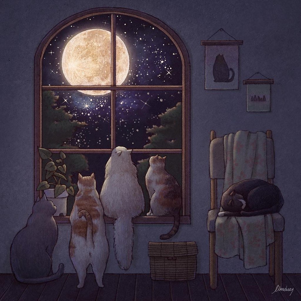 Приятные пожелания