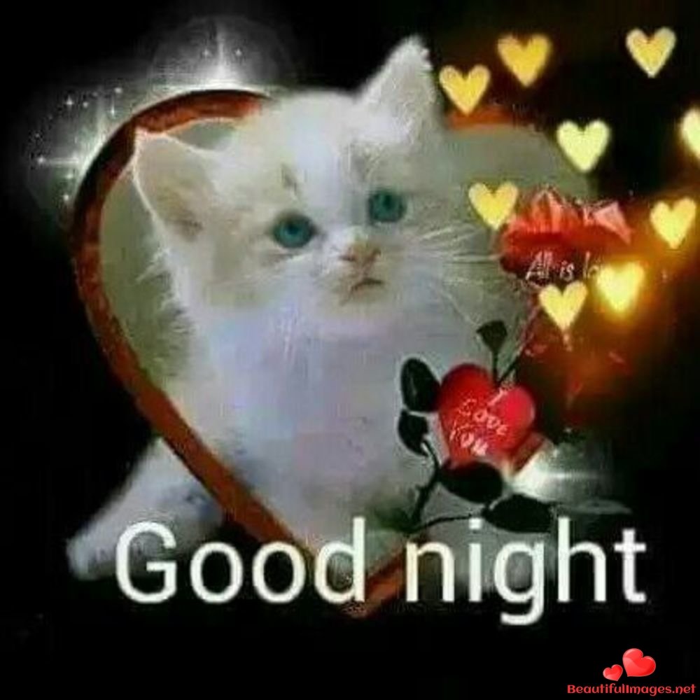 Теплой ночи