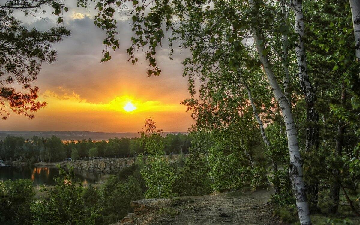 Рассвет в березовой роще