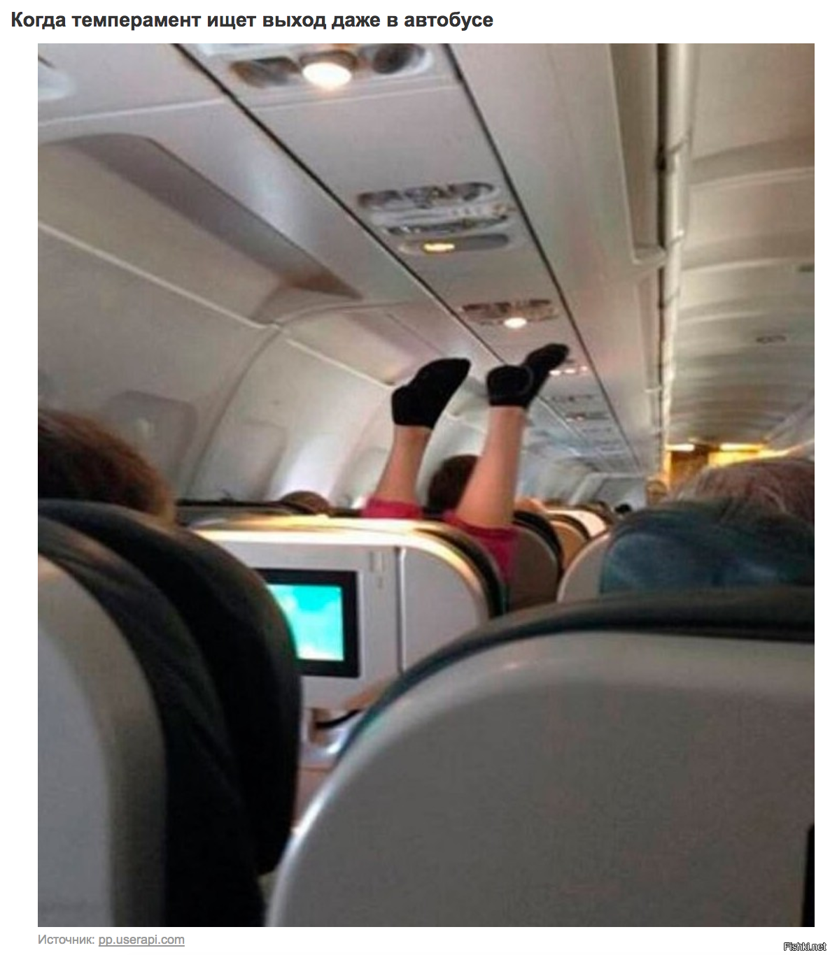 Небесная сотня карикатуры