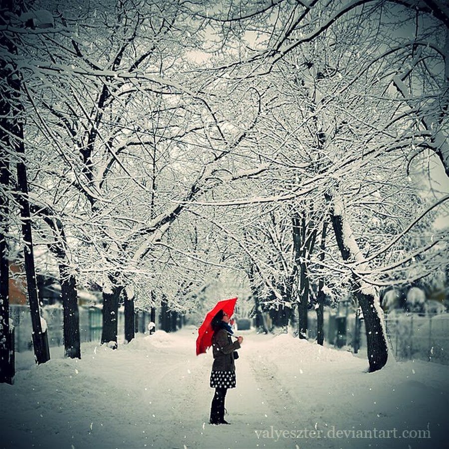 Зима на аву