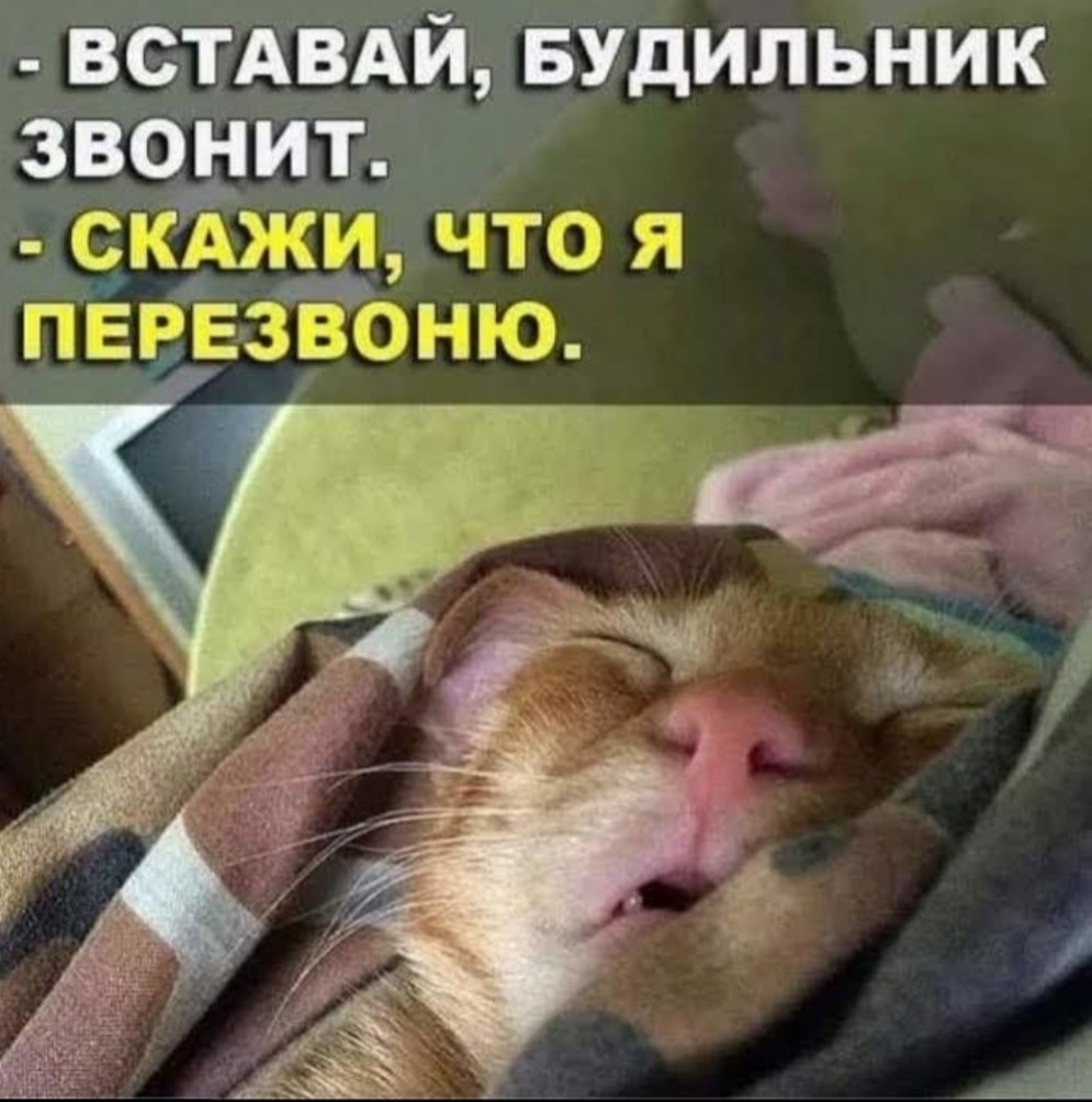 С добрым утром прикольные