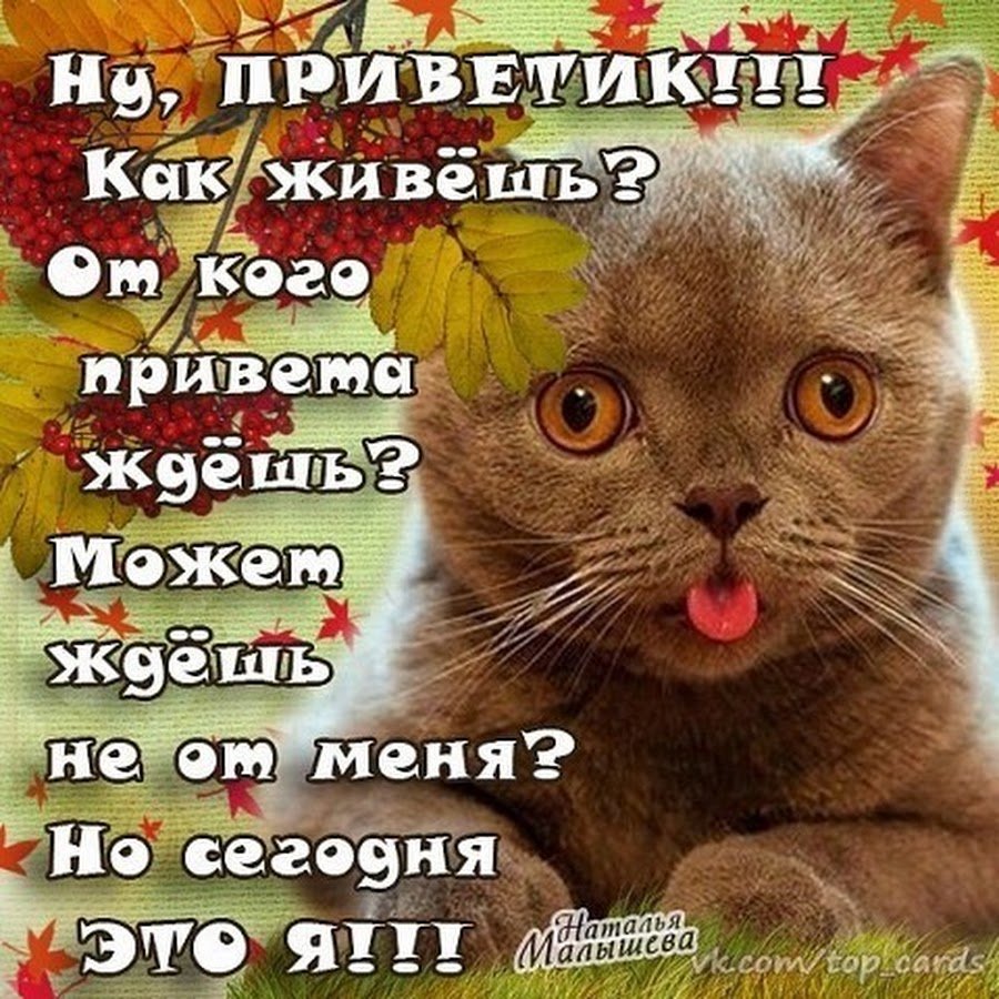 Открытки привет прикольные