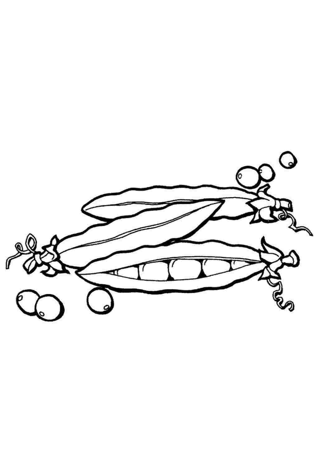 Раскраска овощи горох