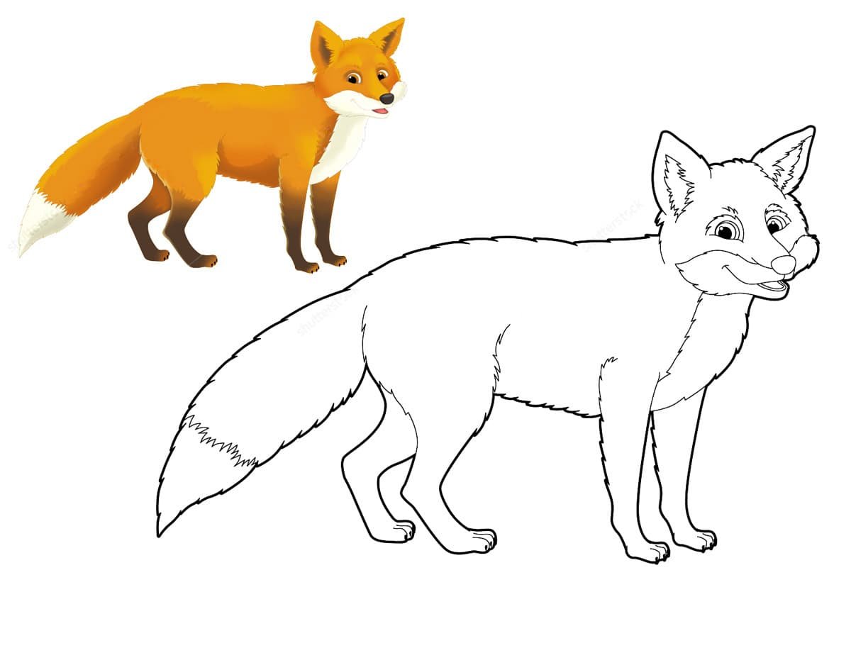 Лиса раскраска цветная для детей