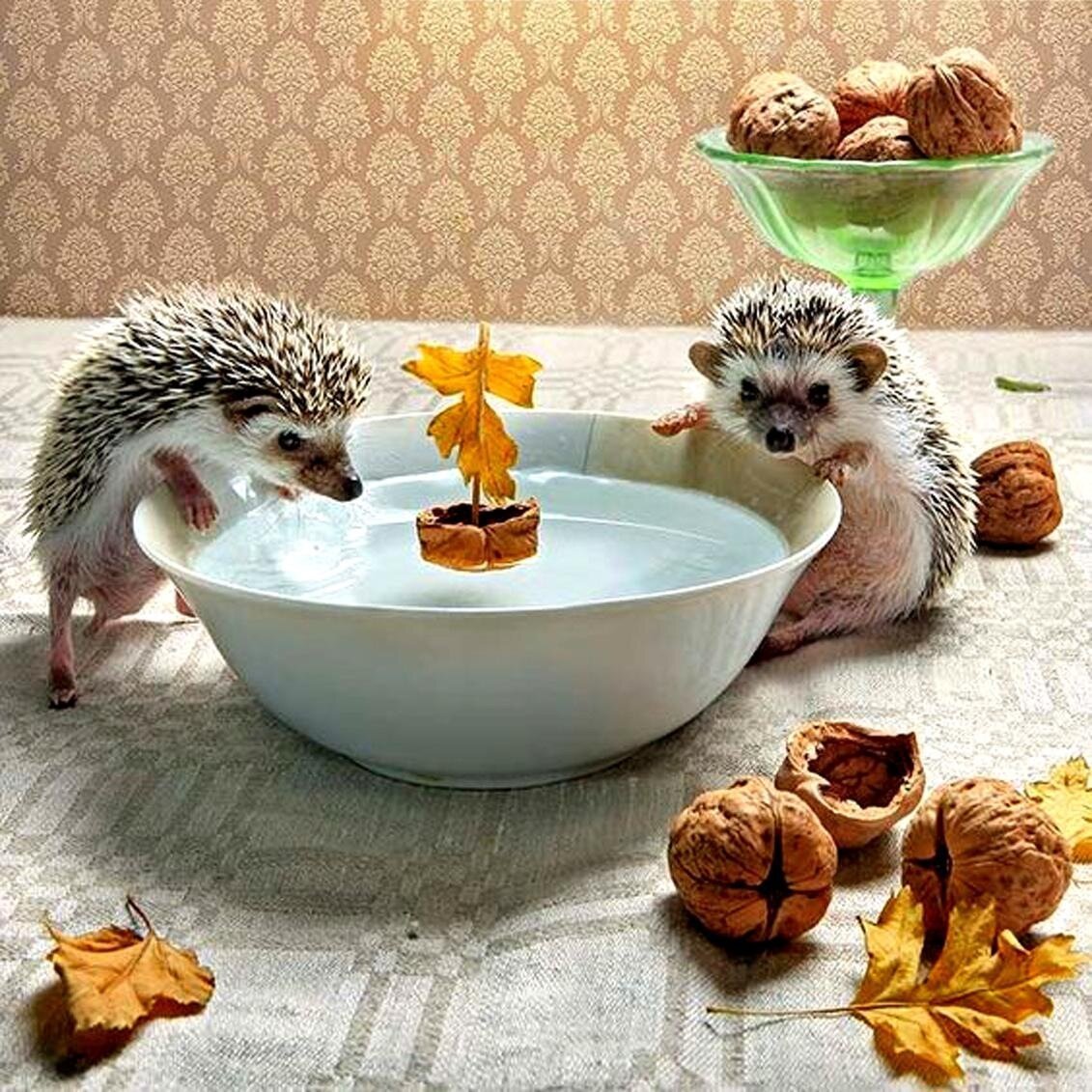 Зайчик доброе утро вязать