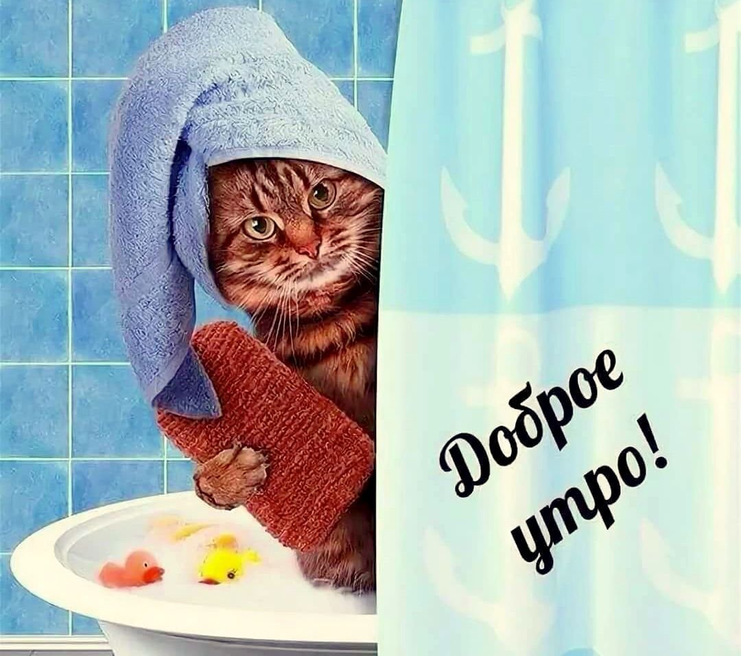 Суслик с ромашкой