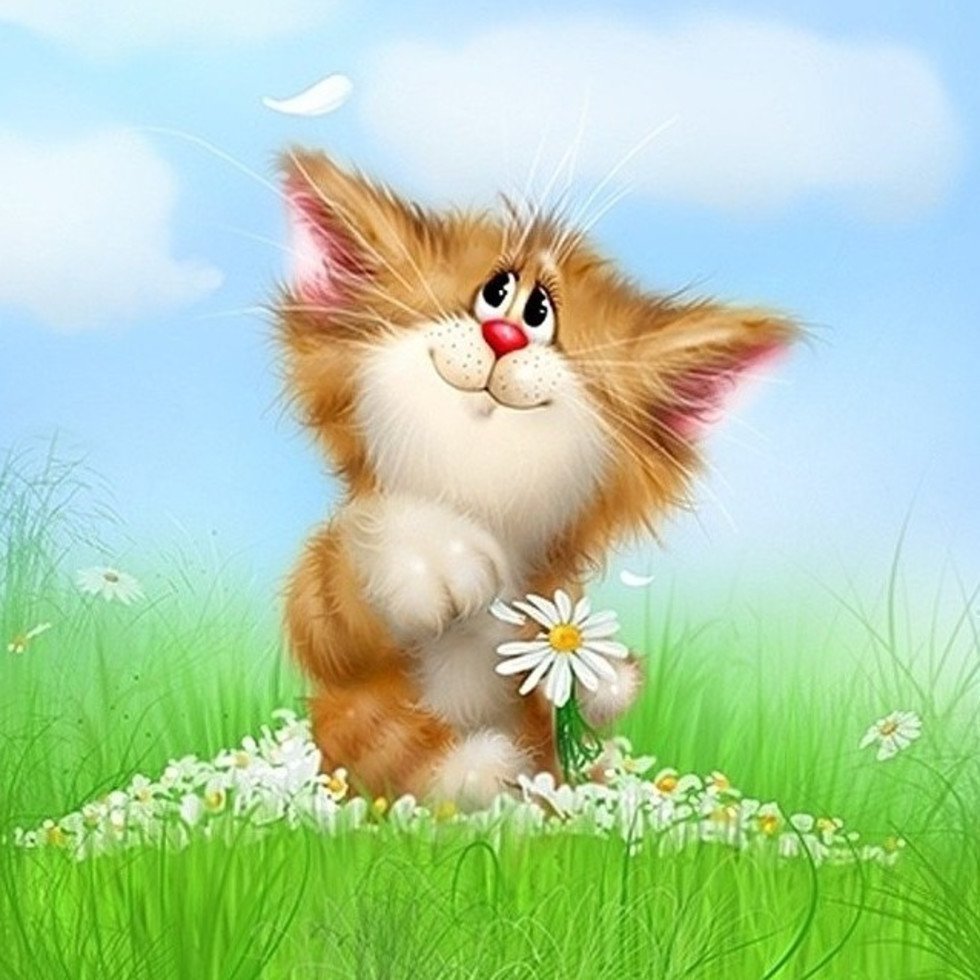 Доброе утро с животными смешные