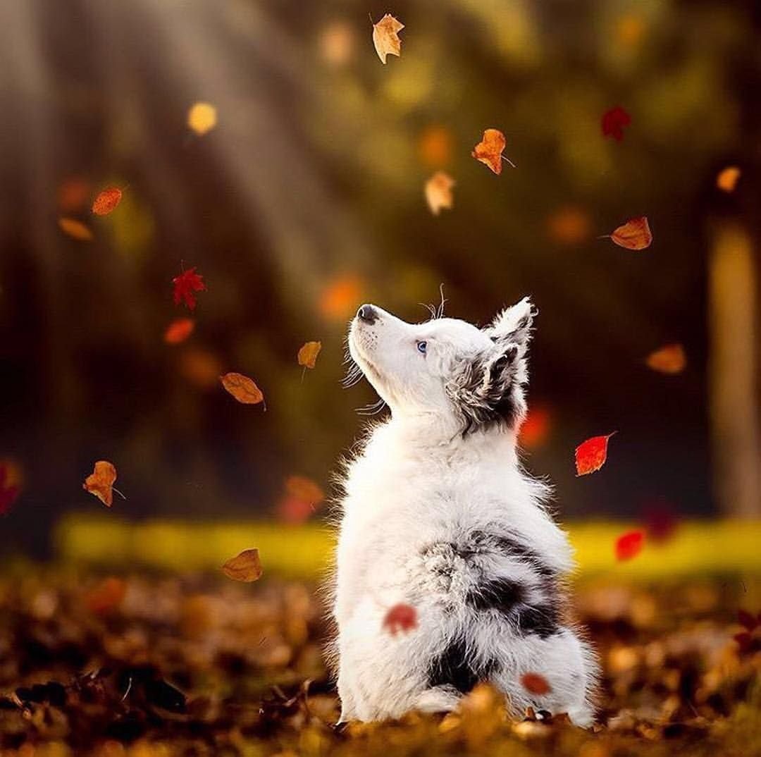 С добрым воскресным утром