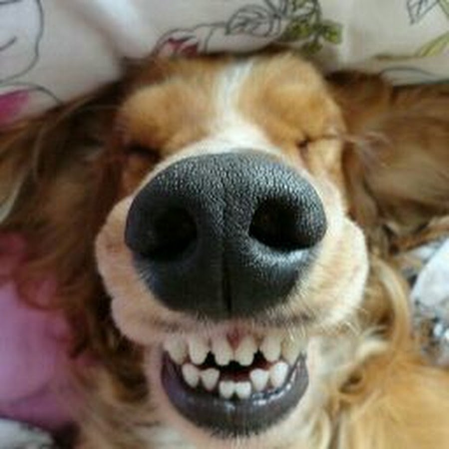 Позитивного дня и хорошего настроения