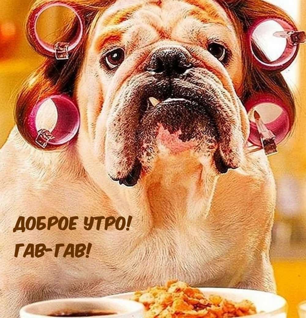 Животные просыпаются