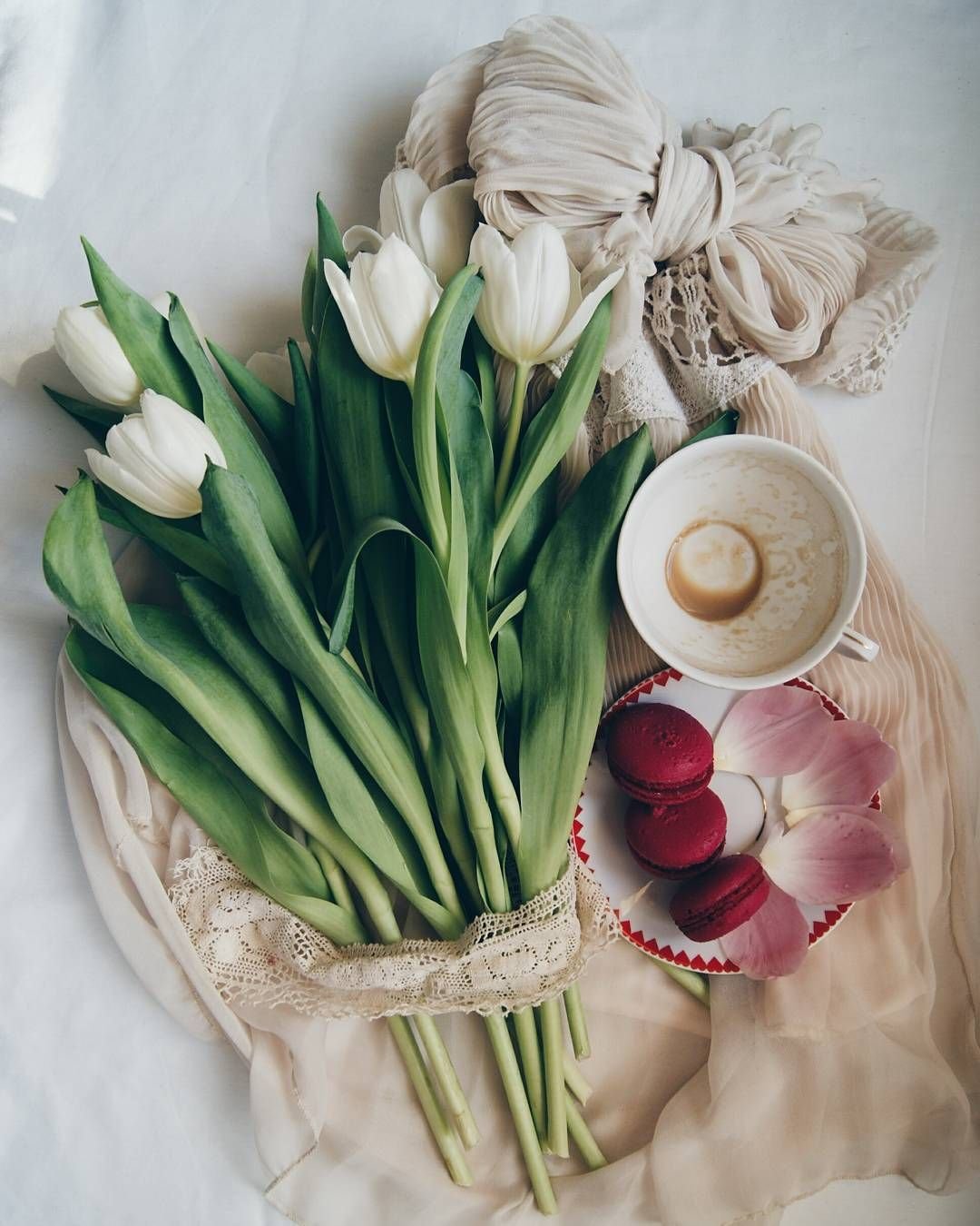 Ирисы натюрморт