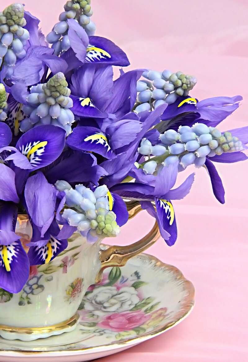 Васильки в чашке