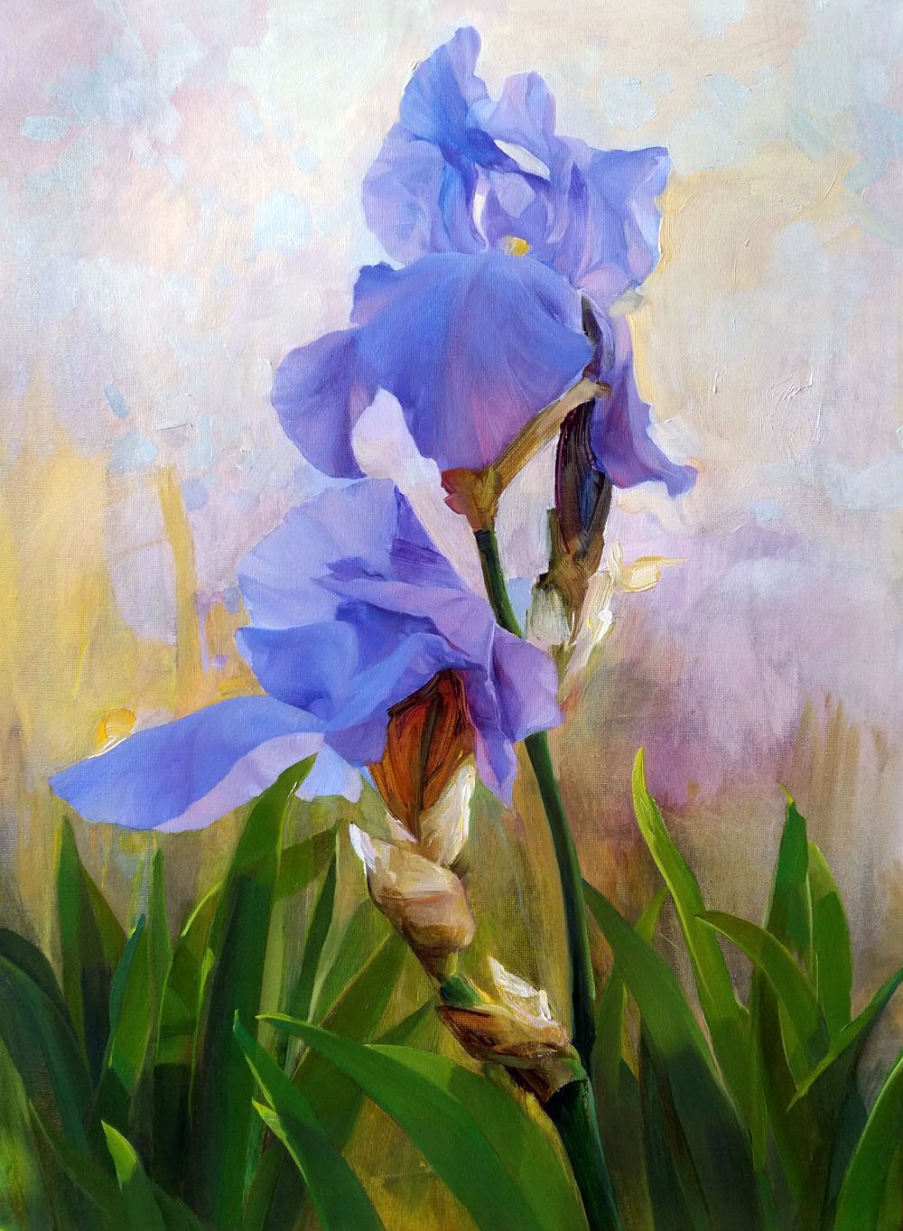 Пожелания женщине